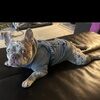 forrest0430